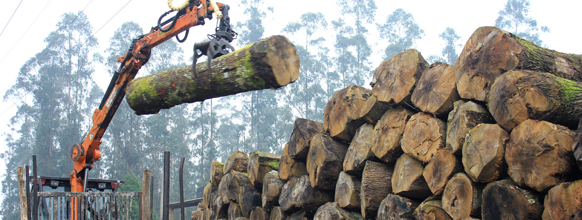 Fbrica de Maderas  en Galicia